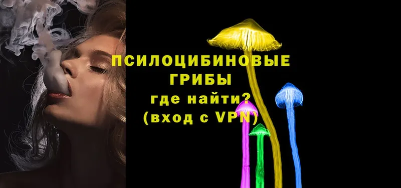 Псилоцибиновые грибы Magic Shrooms Лосино-Петровский